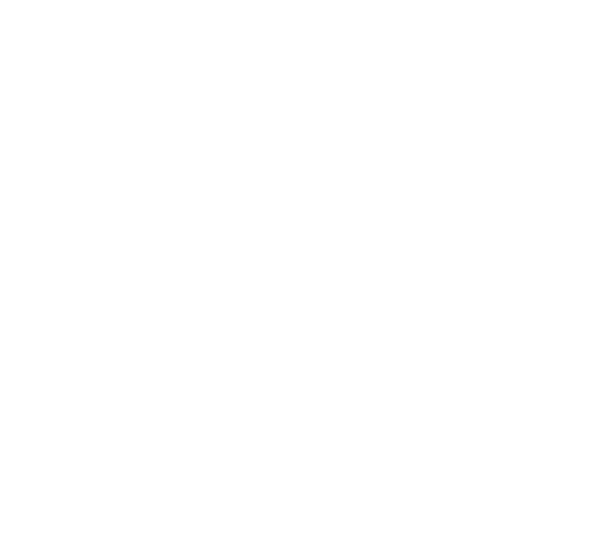 HVJ_WBM_WEISS